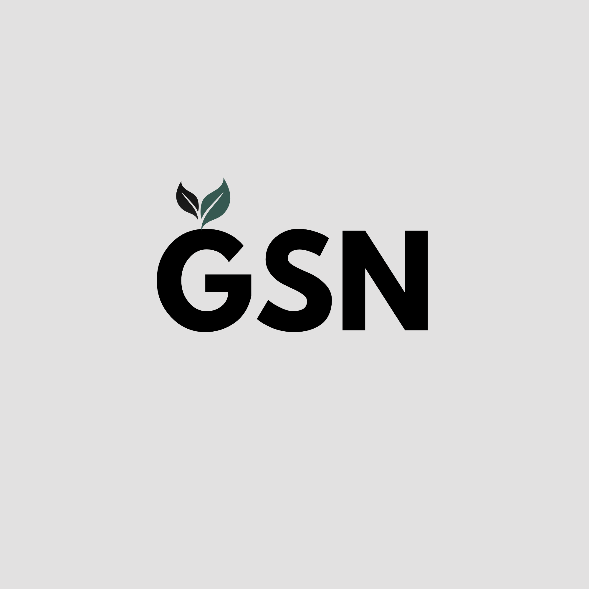 gsn.com.sa